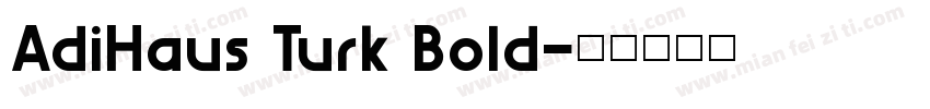 AdiHaus Turk Bold字体转换
